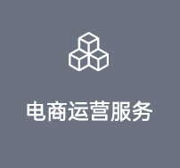 電商運(yùn)營服務(wù)