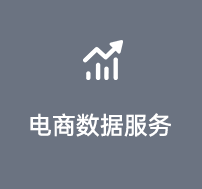 電商數(shù)據(jù)服務(wù)
