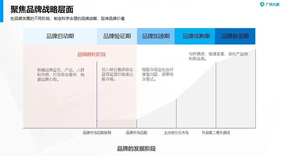 廣州大麥電商