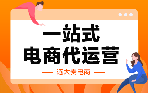 電商代運(yùn)營(yíng)